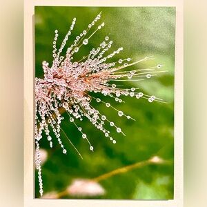 Wall Art - Photography on Canvas